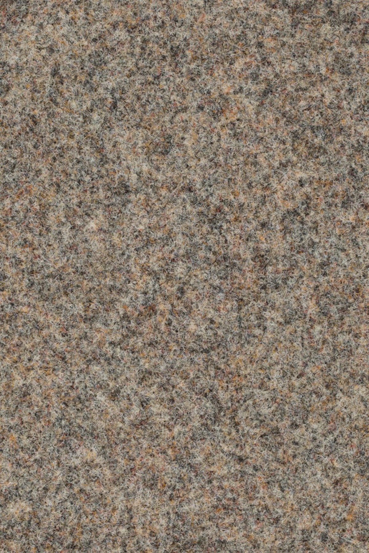 Strong Compact 926 Farbe 141