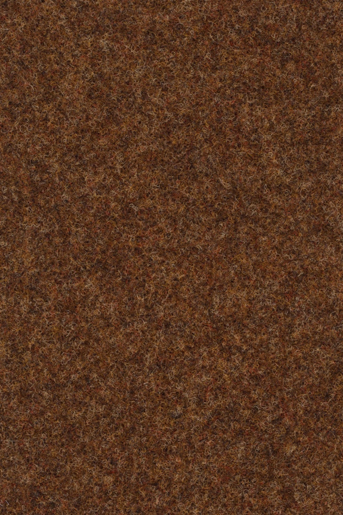 Strong 956 Farbe 170