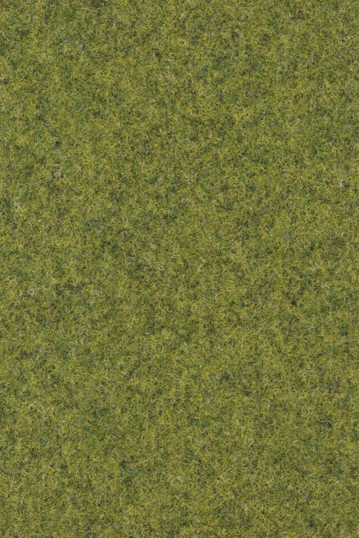 Strong 956 Farbe 136