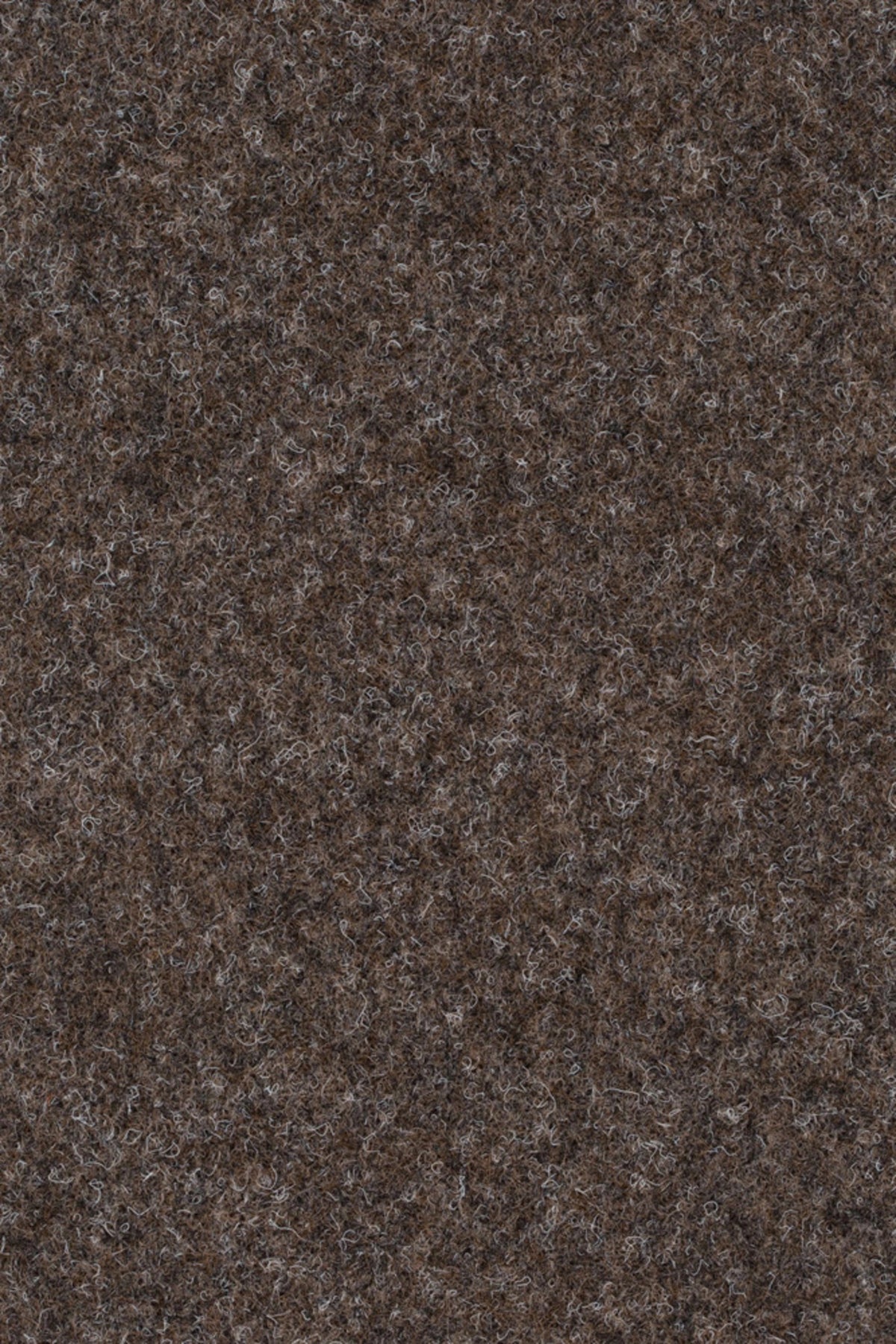 Strong 956 Farbe 066