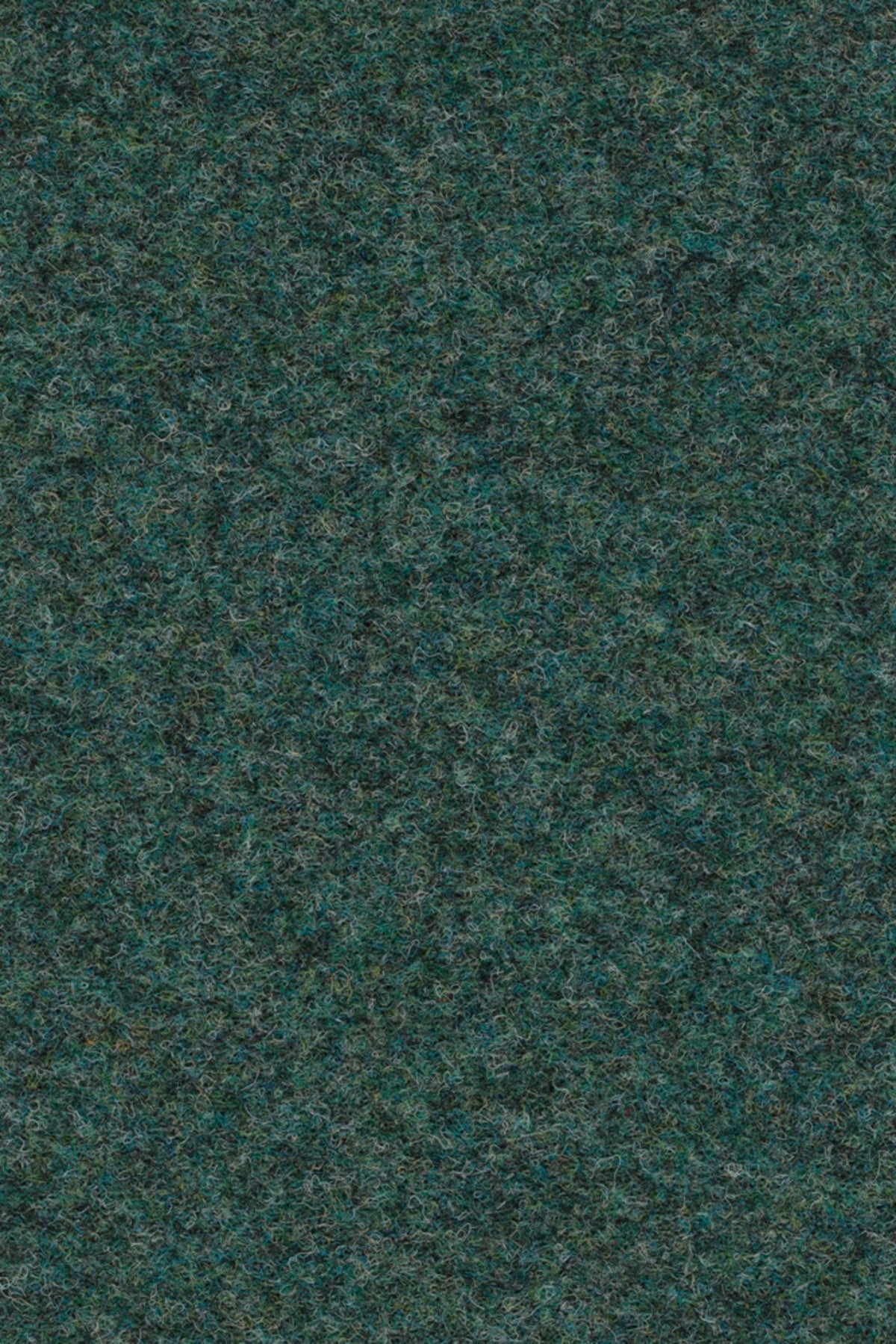 Strong 956 Farbe 037