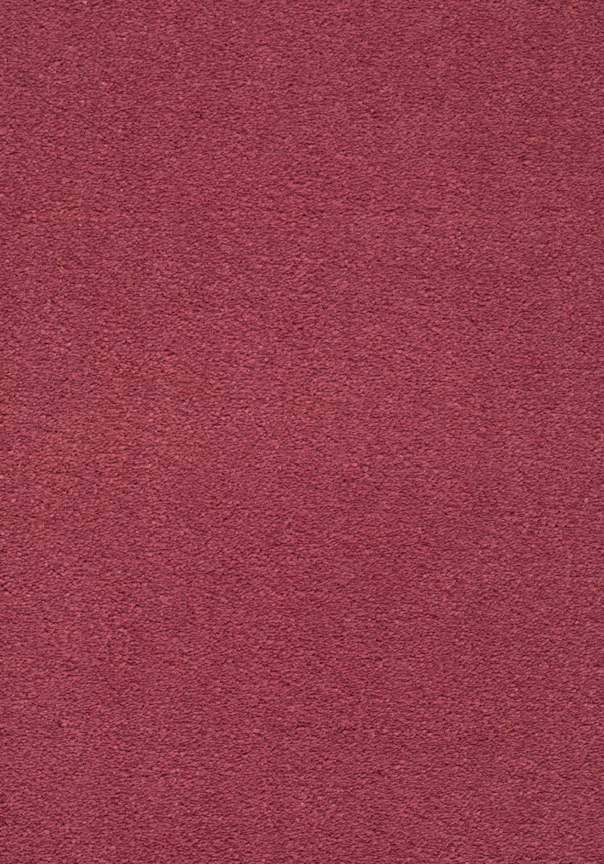 Soft Farbe 61