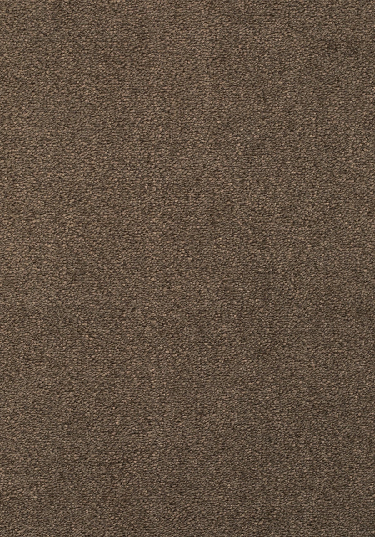 Soft Farbe 49