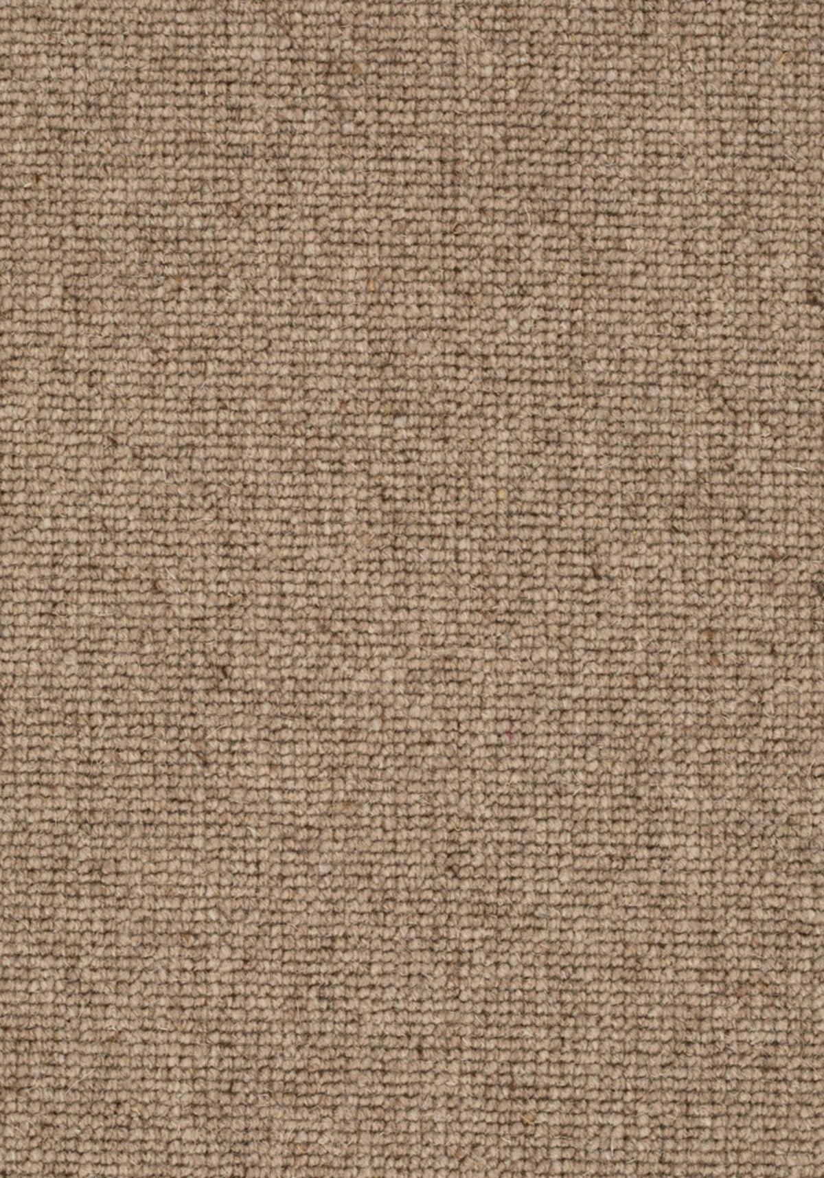 Faro Farbe 137