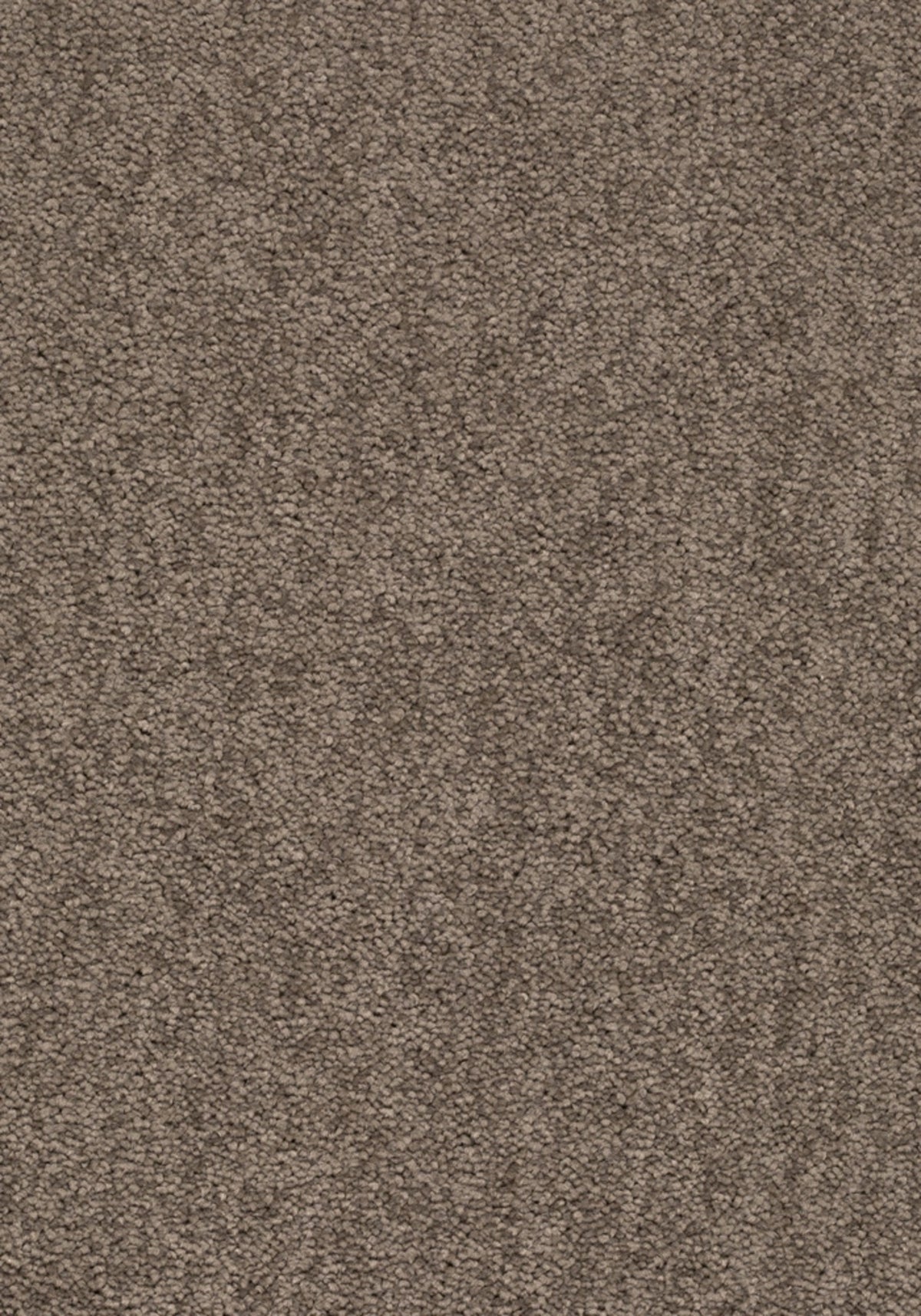 Elysee Farbe 460