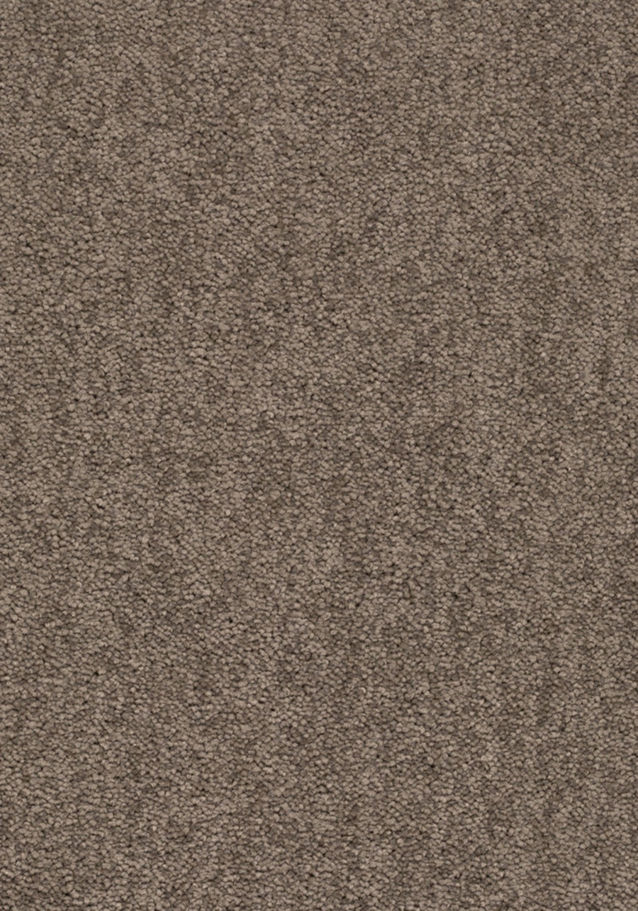 Elysee Farbe 460
