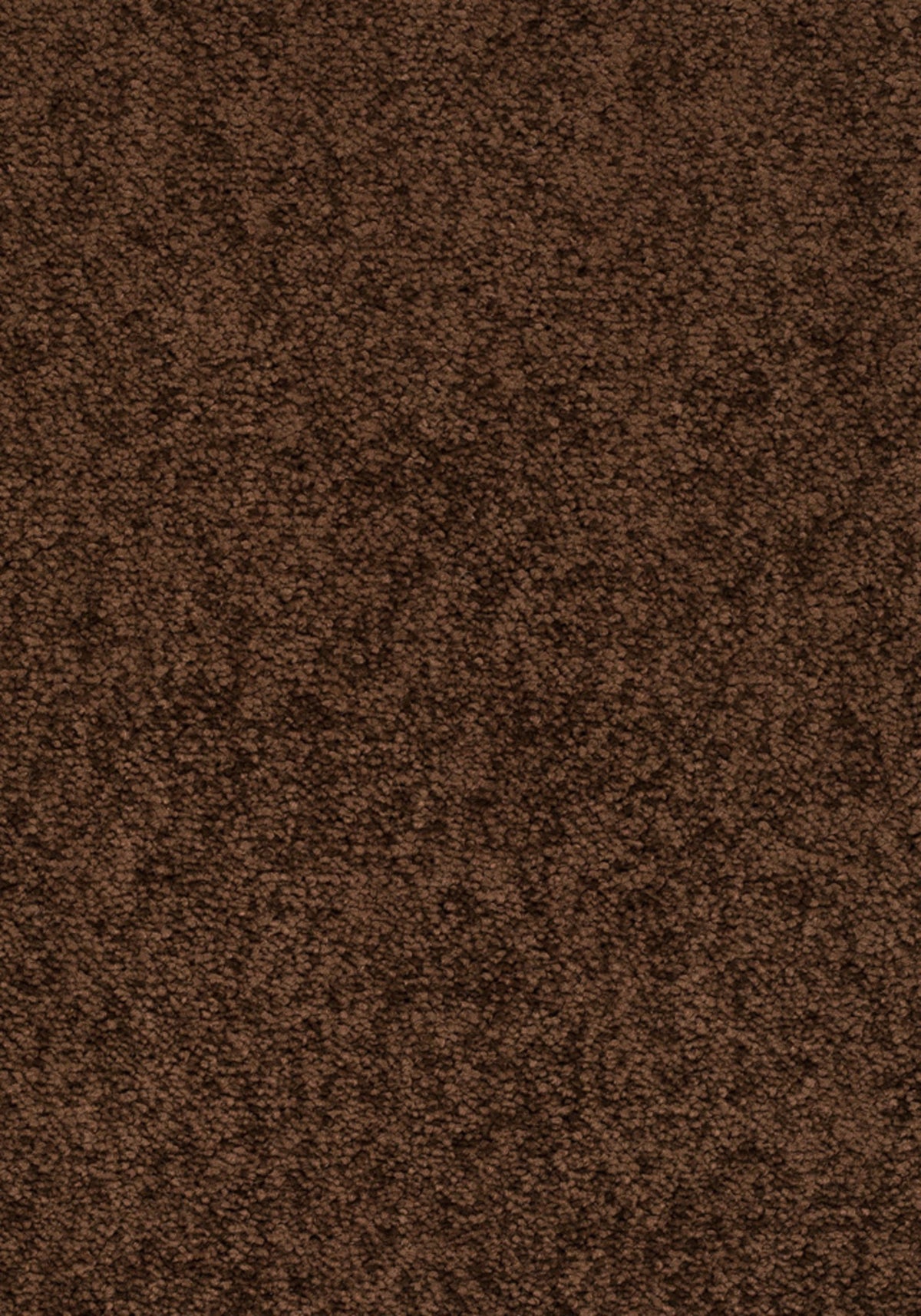 Elysee Farbe 283
