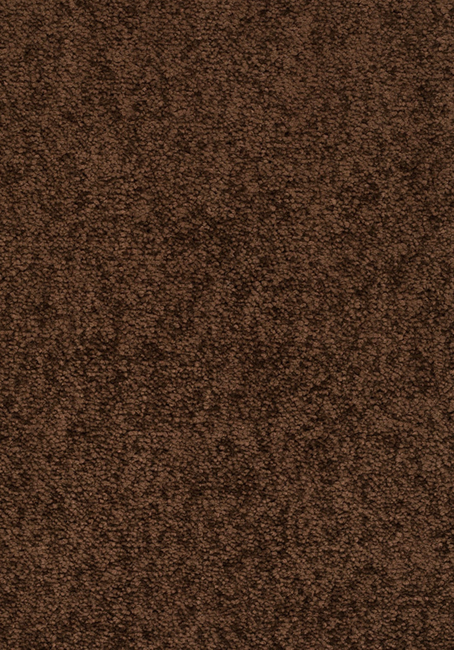 Elysee Farbe 283