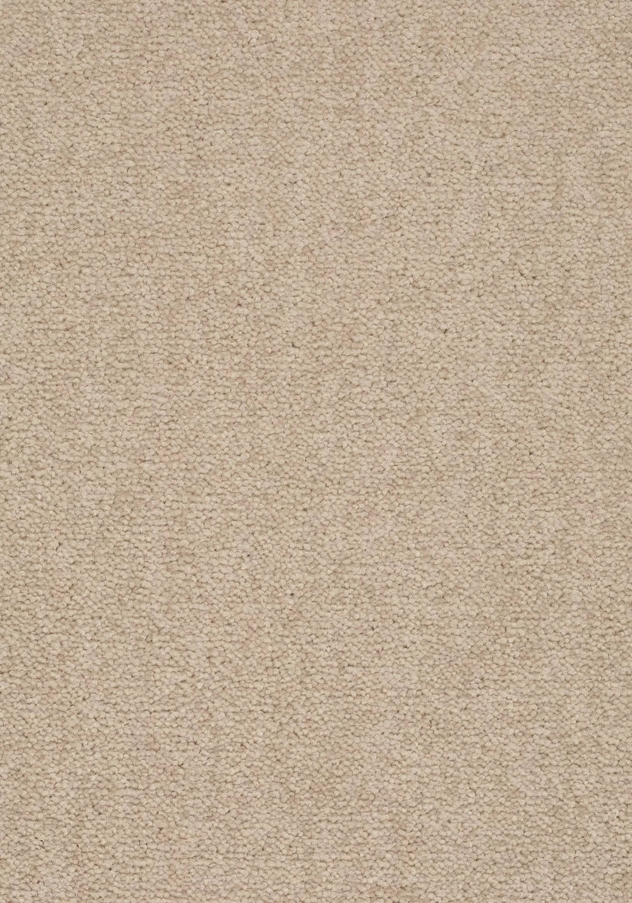 Elysee Farbe 251
