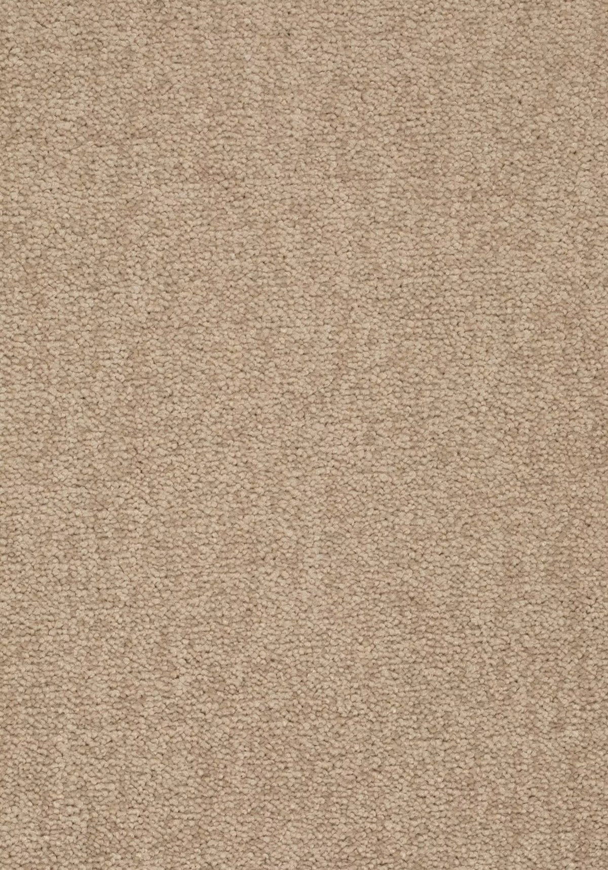 Elysee Farbe 221
