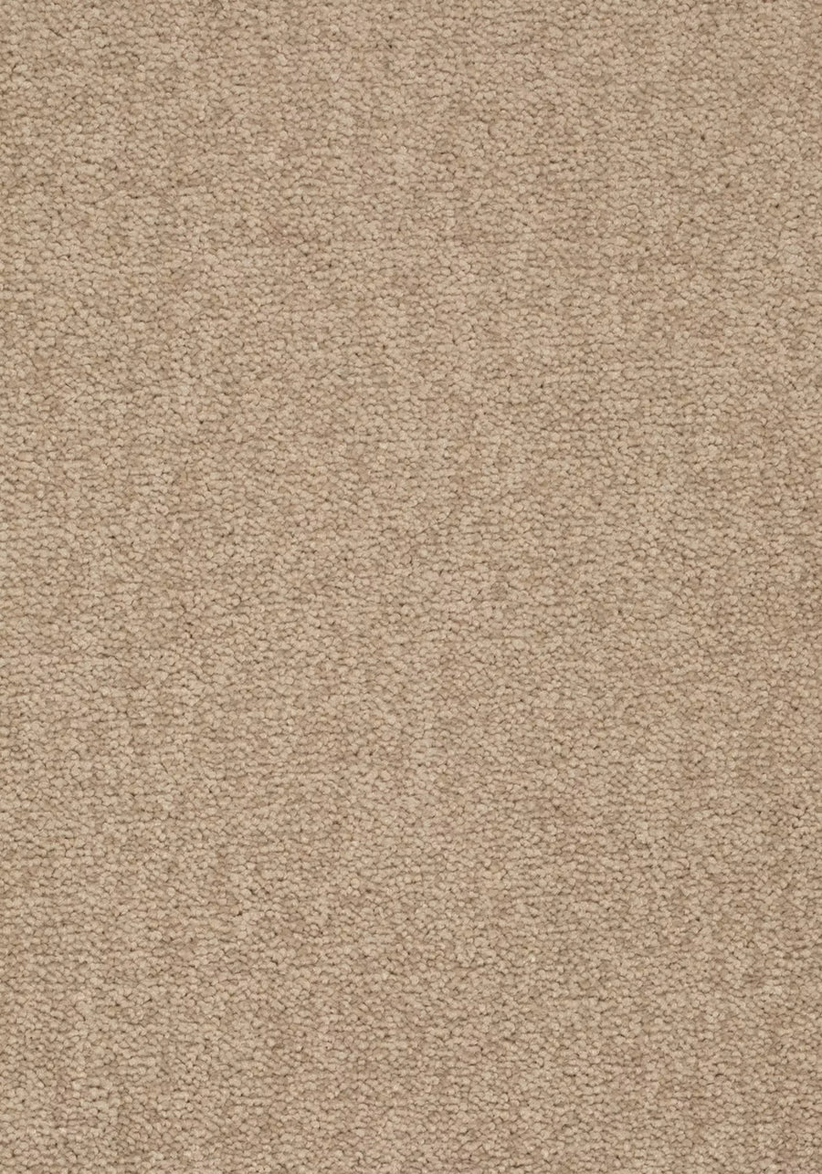 Elysee Farbe 221