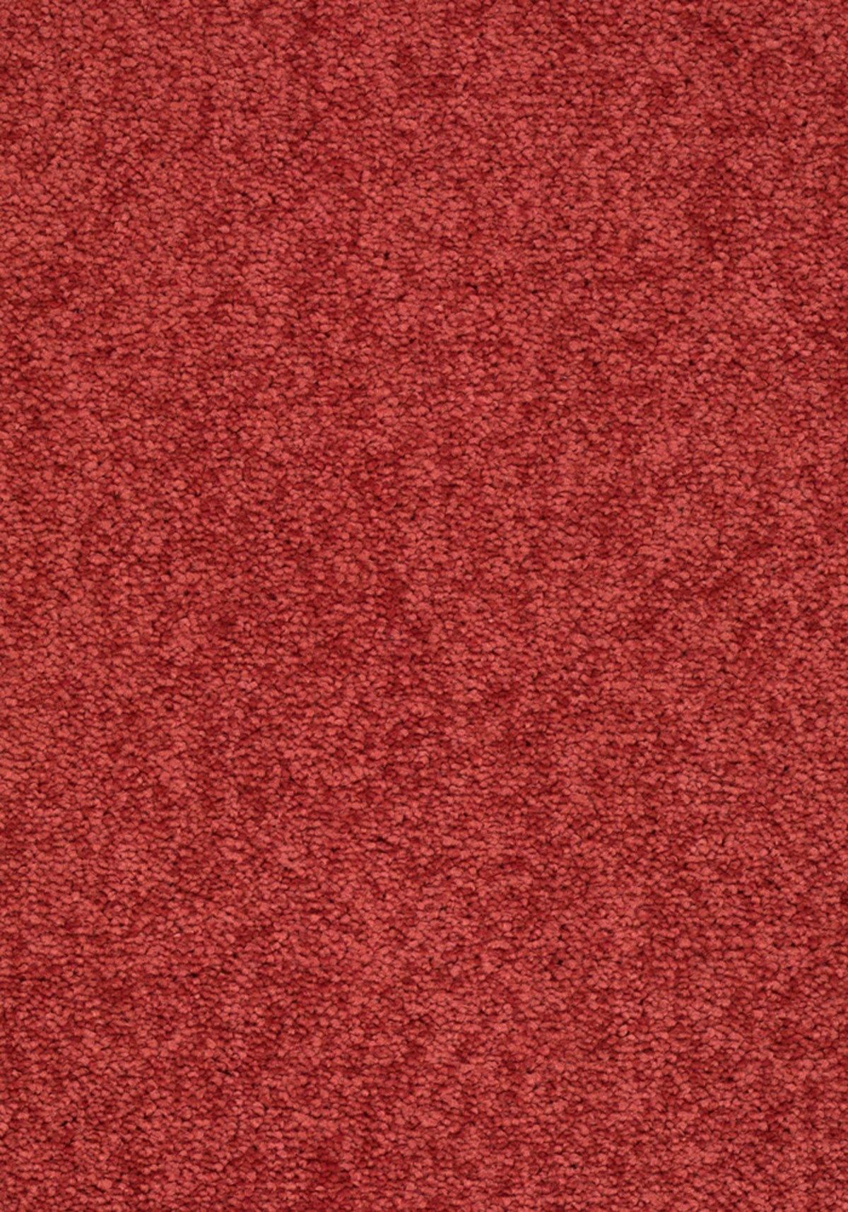 Elysee Farbe 131