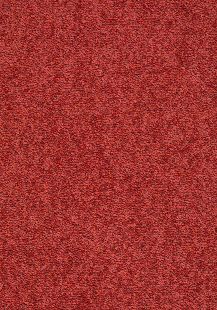Elysee Farbe 131