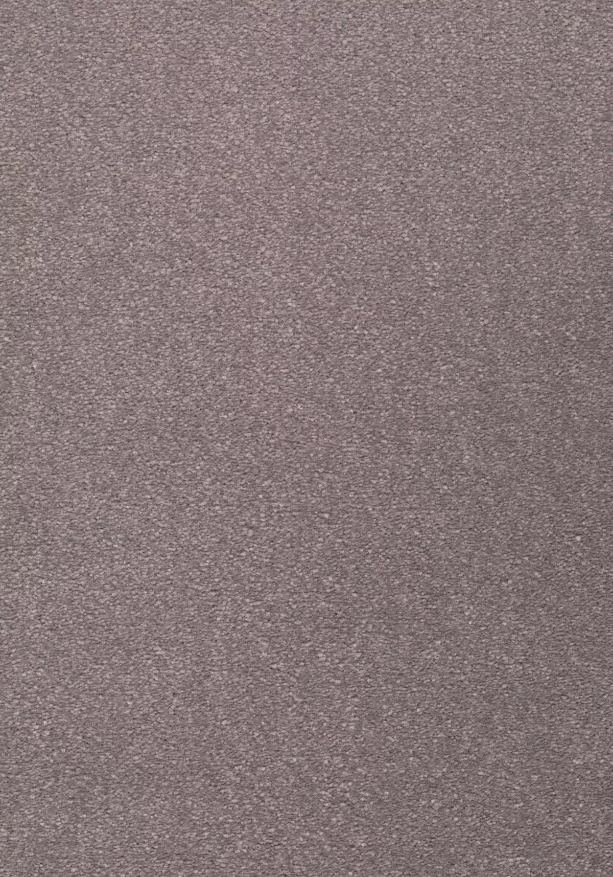 Avalon Farbe 83