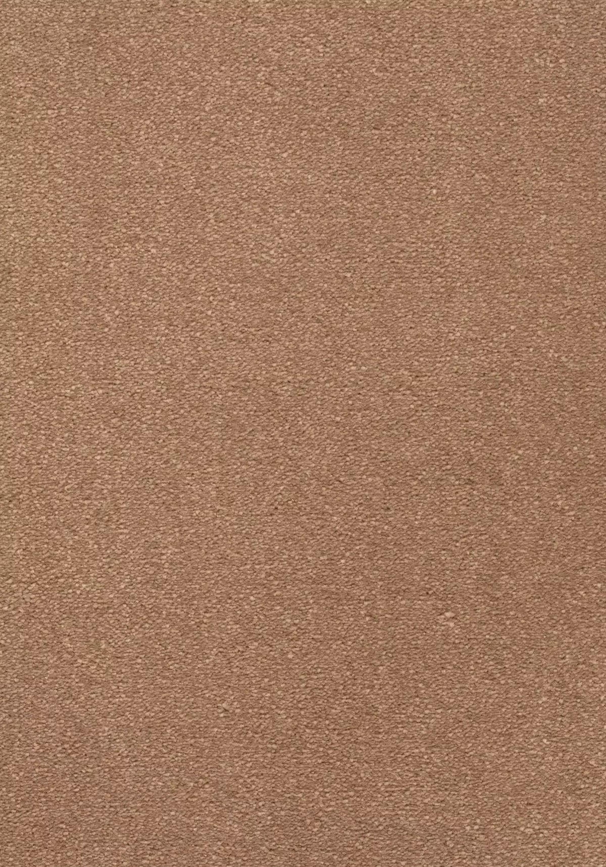 Avalon Farbe 57