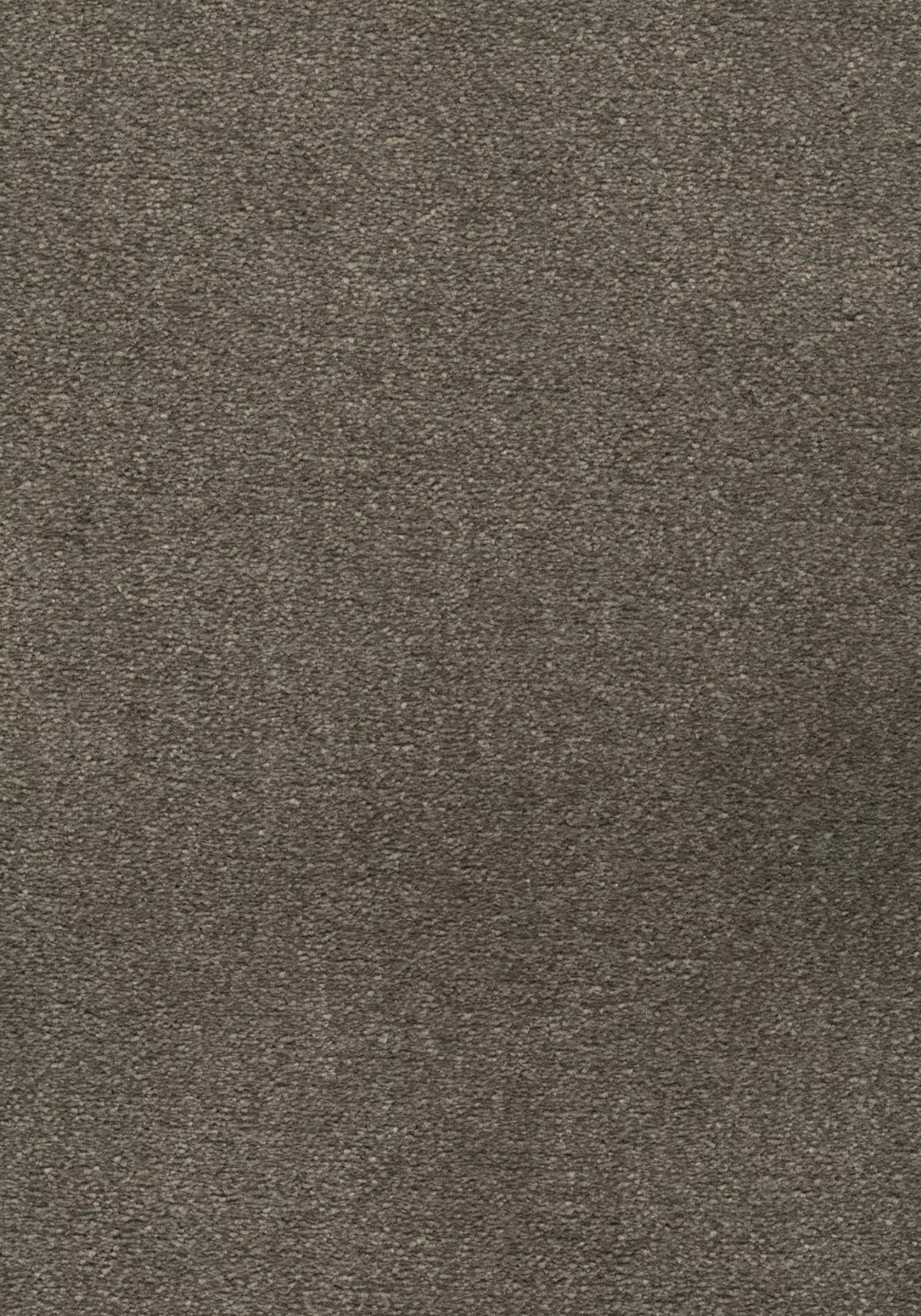 Avalon Farbe 49