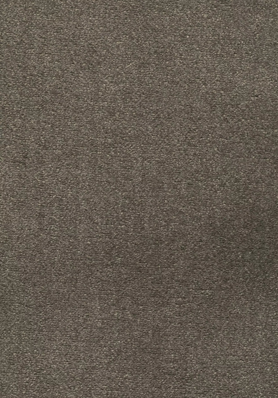Avalon Farbe 49