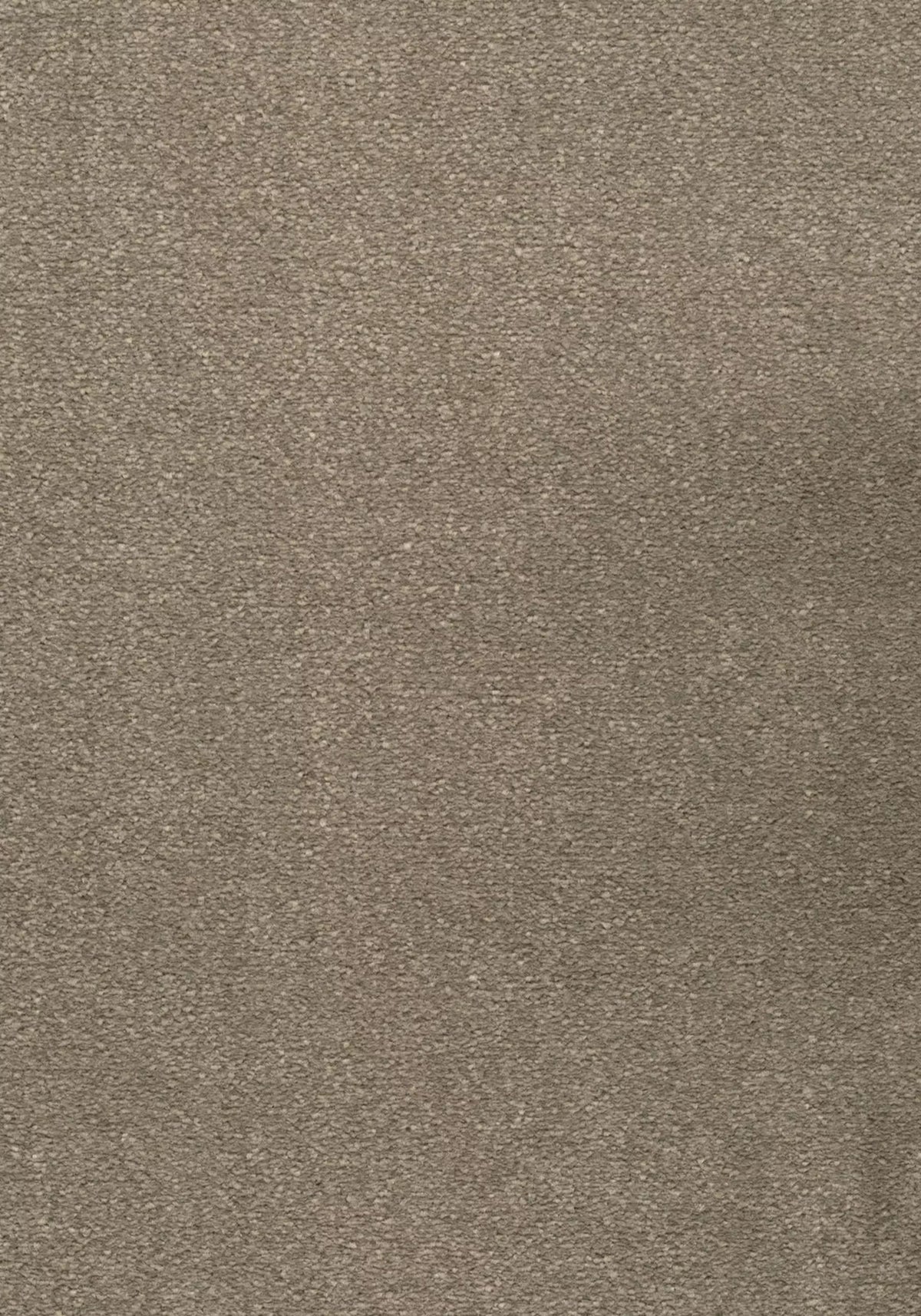 Avalon Farbe 39