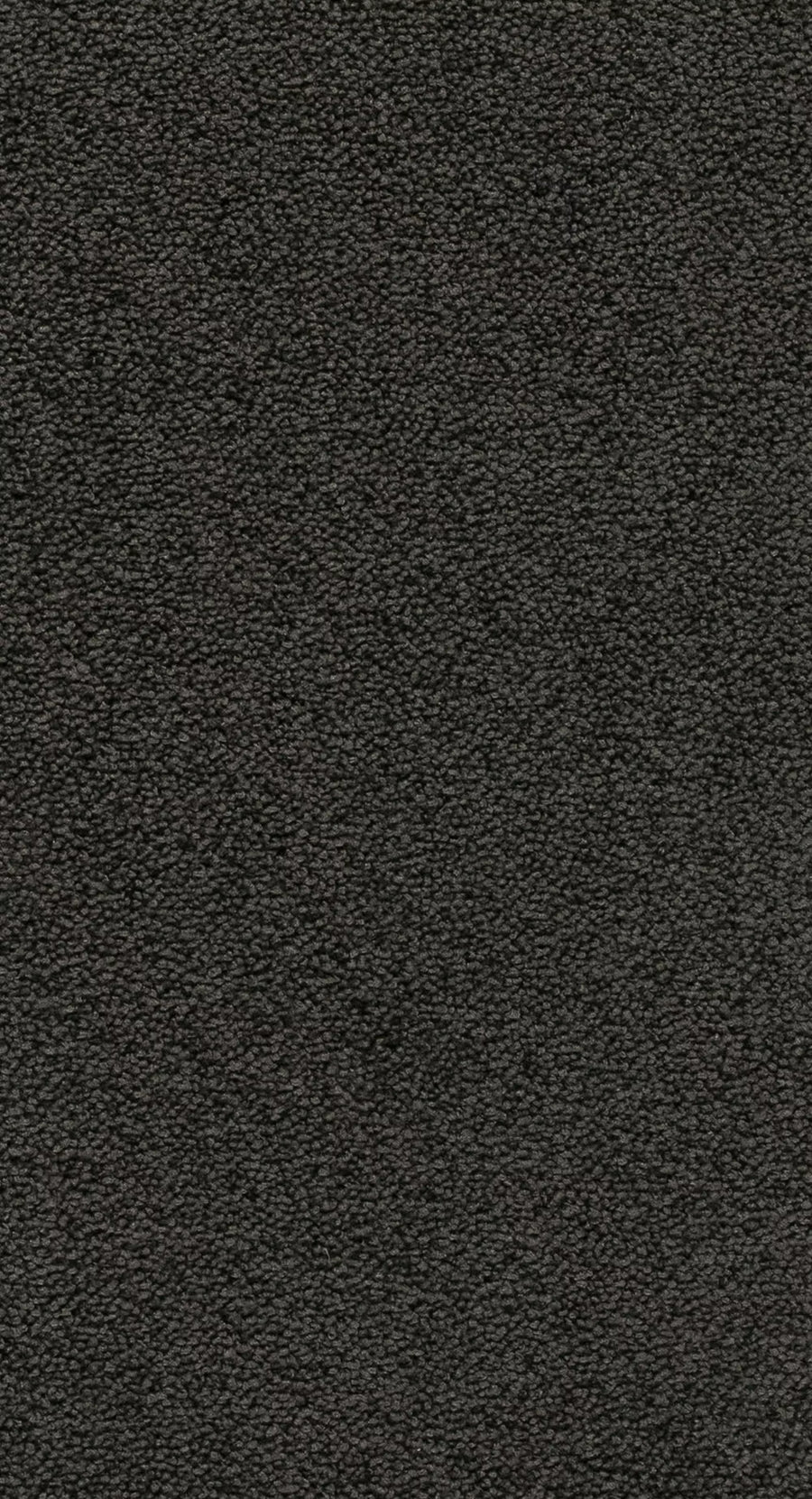 Nobel Farbe 79