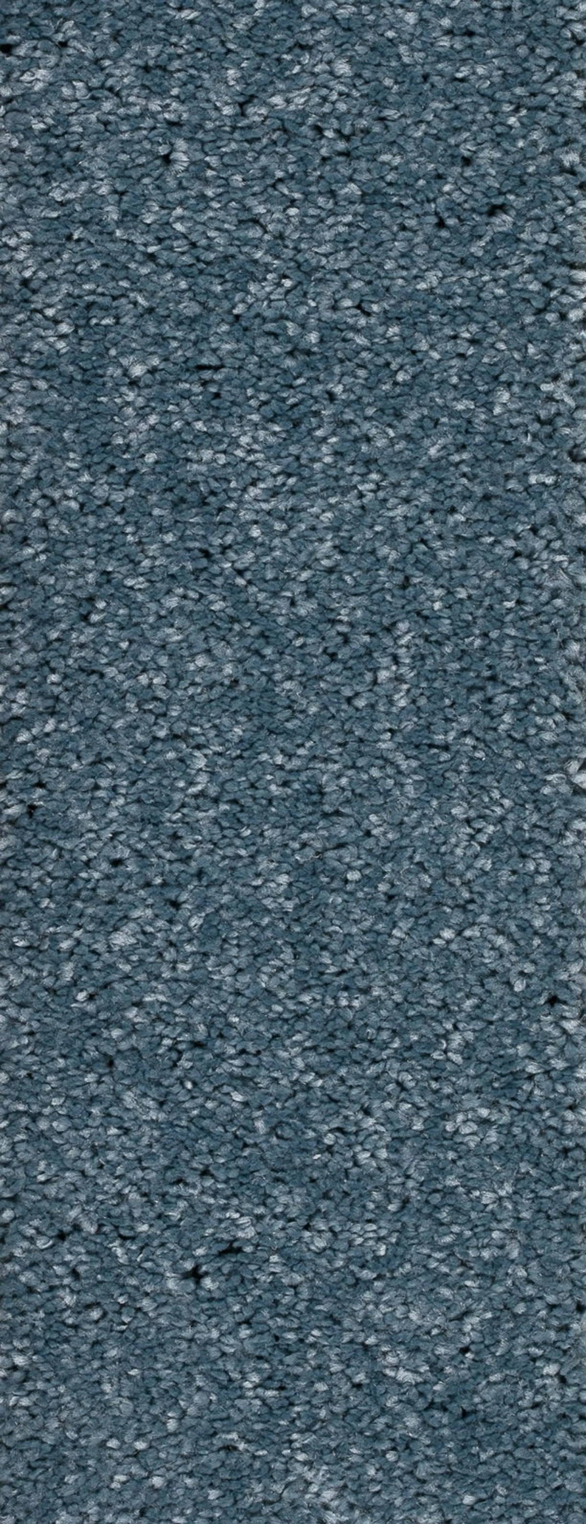 Montego Farbe 81
