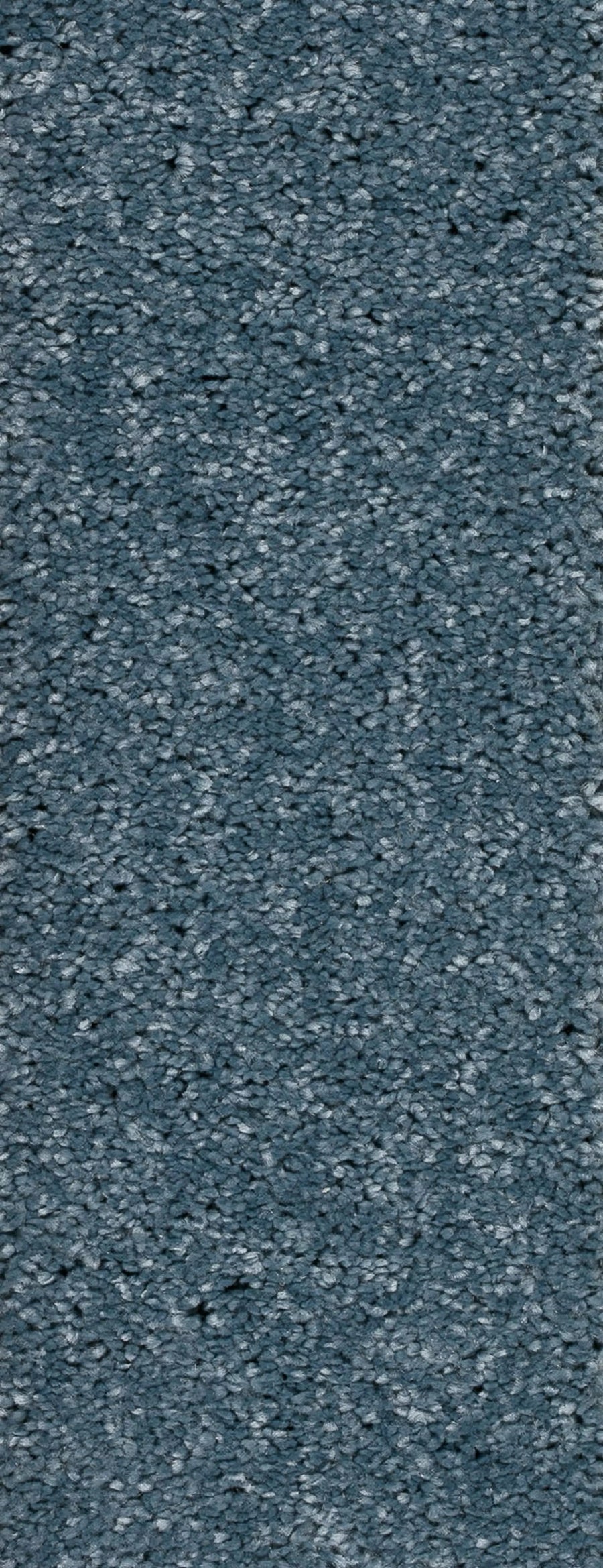 Montego Farbe 81