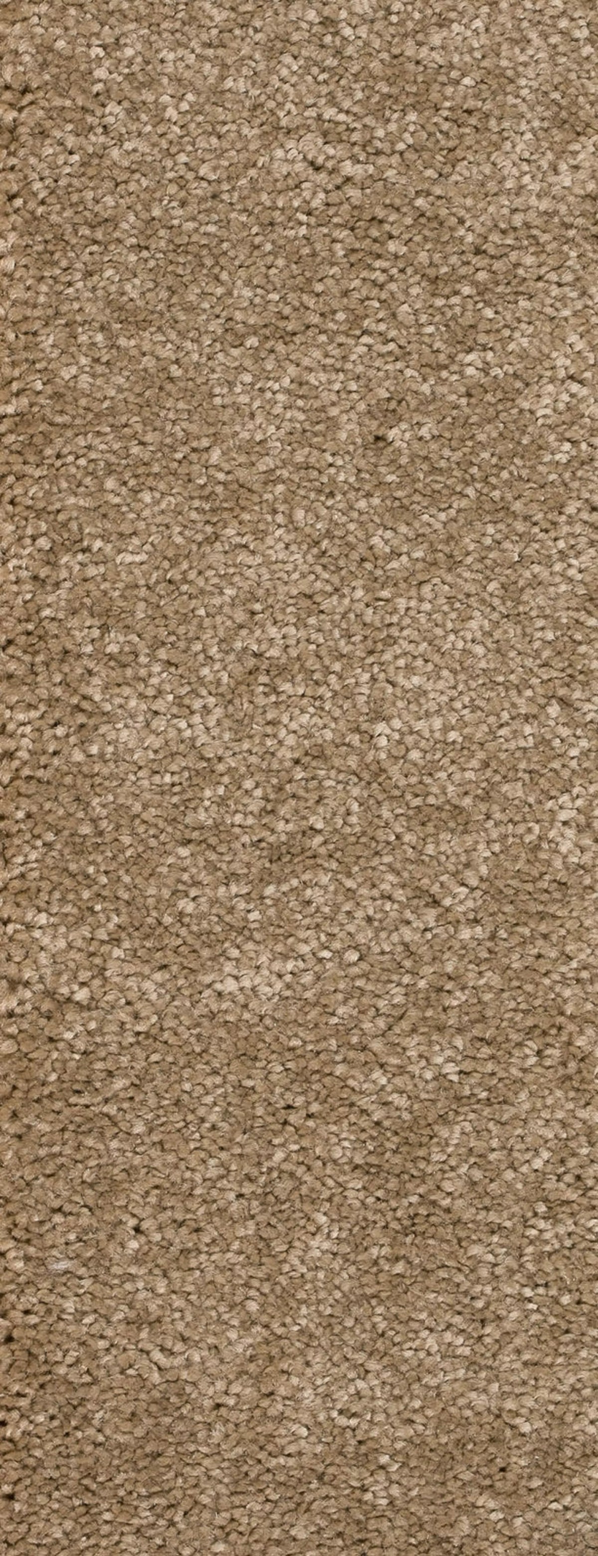 Montego Farbe 72