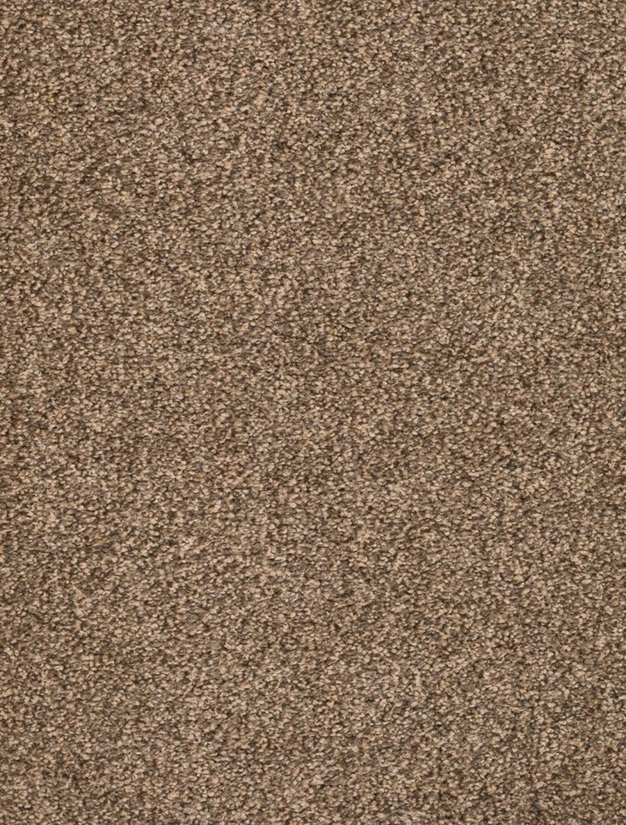 Derby Farbe 43