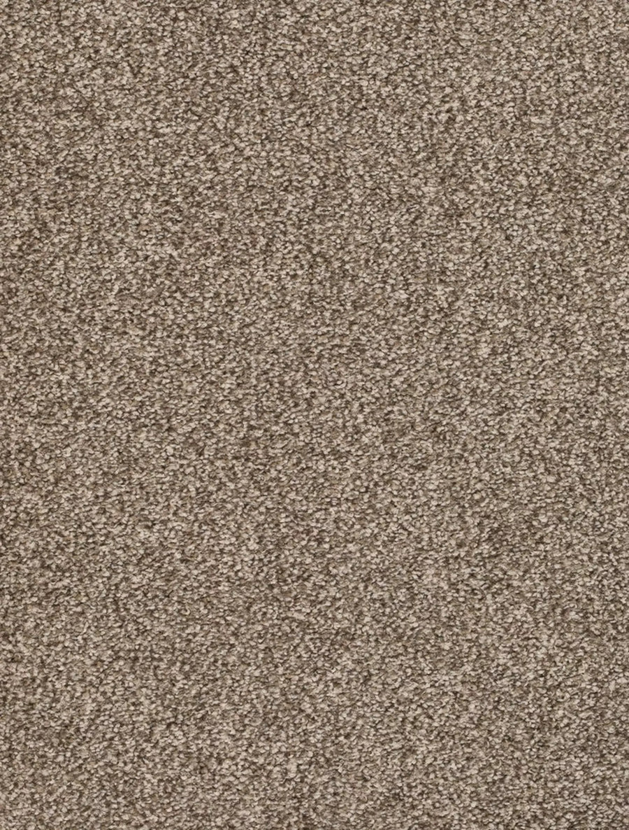 Derby Farbe 38