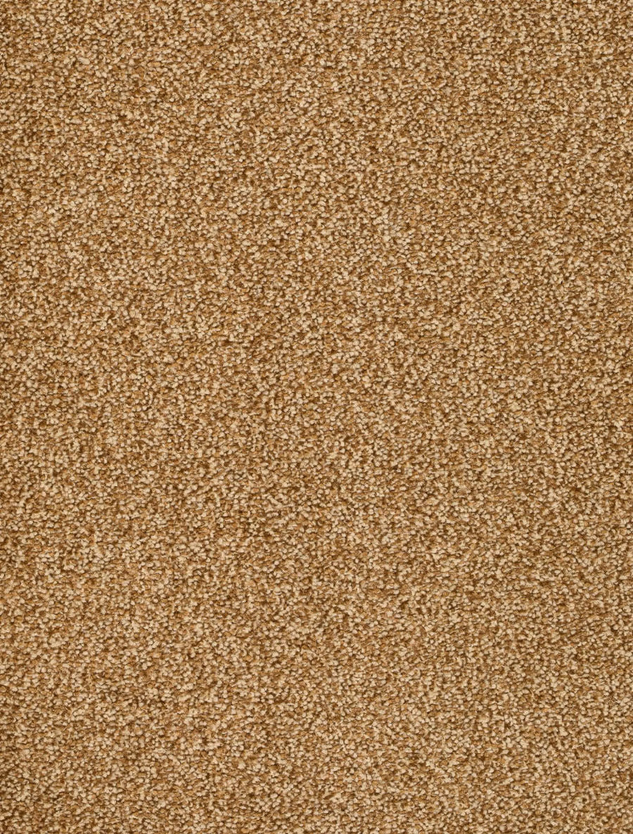 Derby Farbe 36