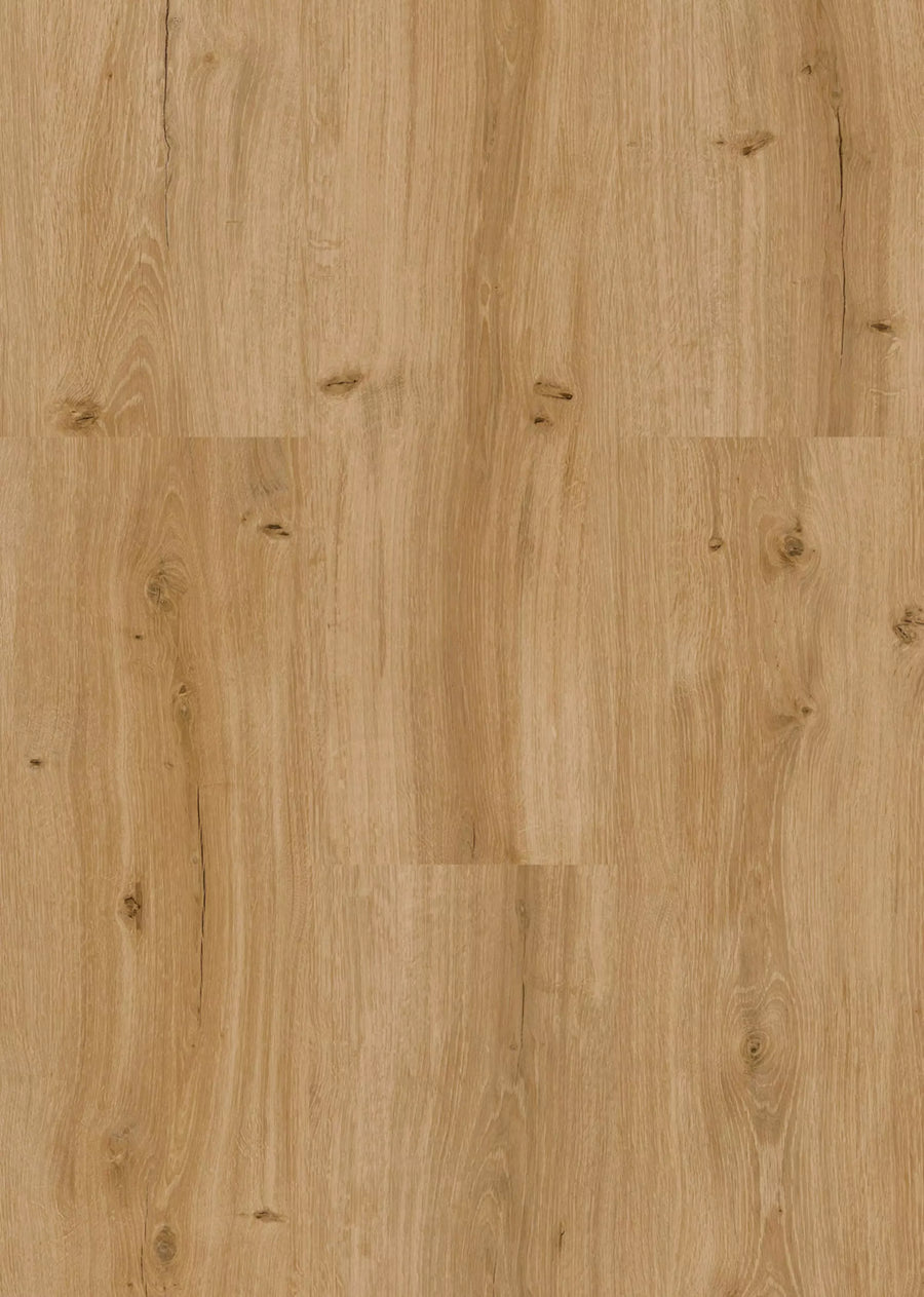 Hydro Wood 255 2502 Royal Oak brown