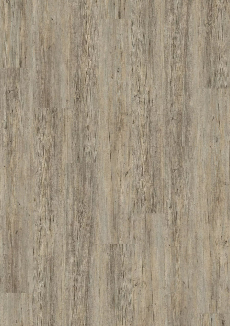 Design 340 2834 Grey Pine