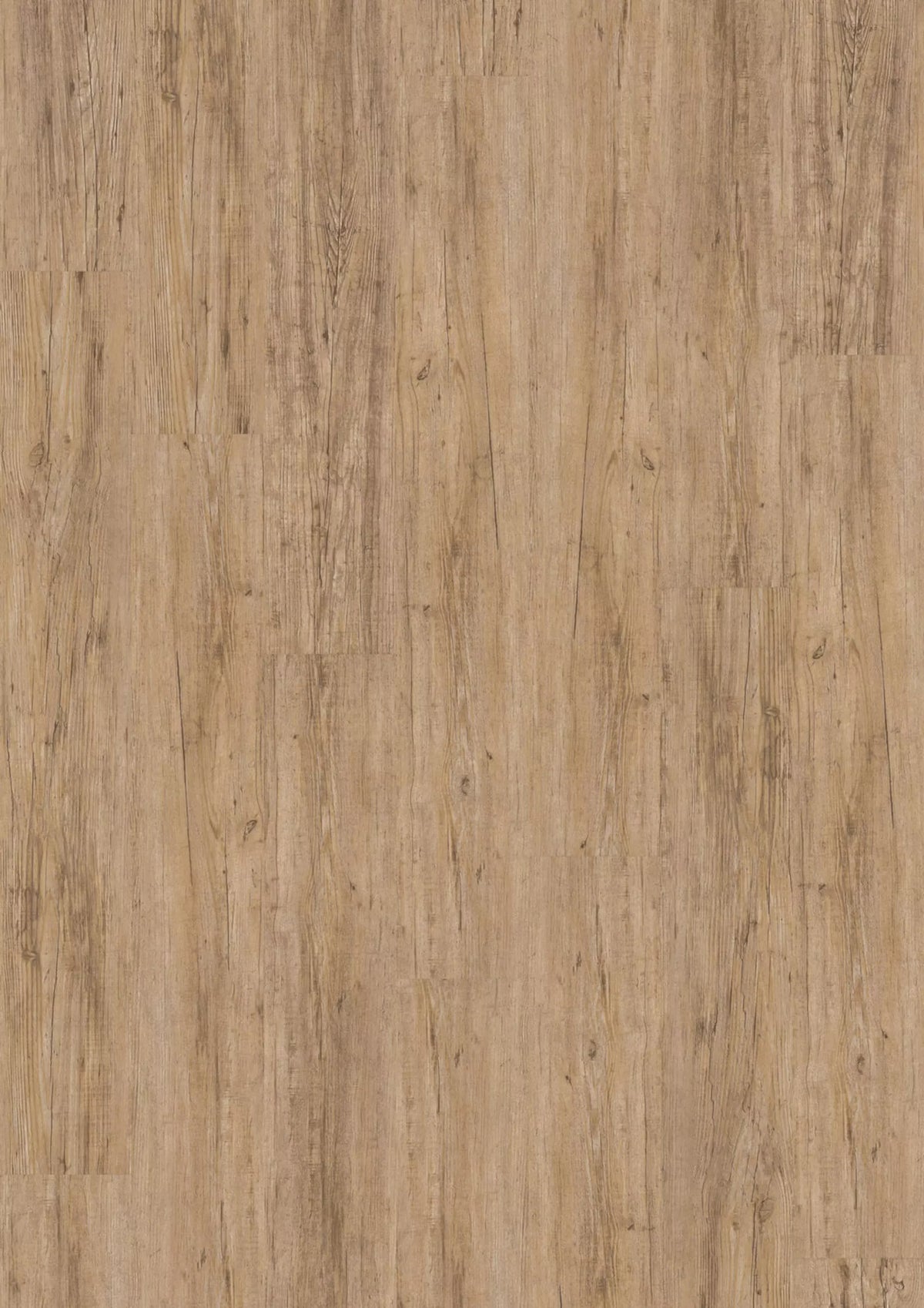 Design 340 2825 Wild Pine