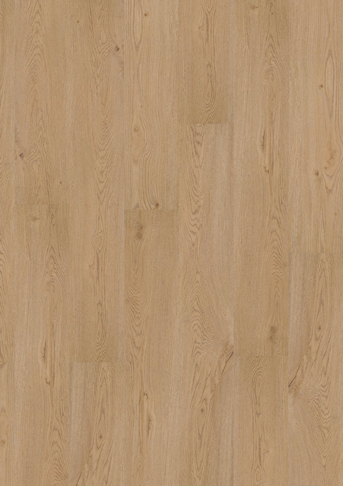 Design 340 2881 Earthy Oak EIR
