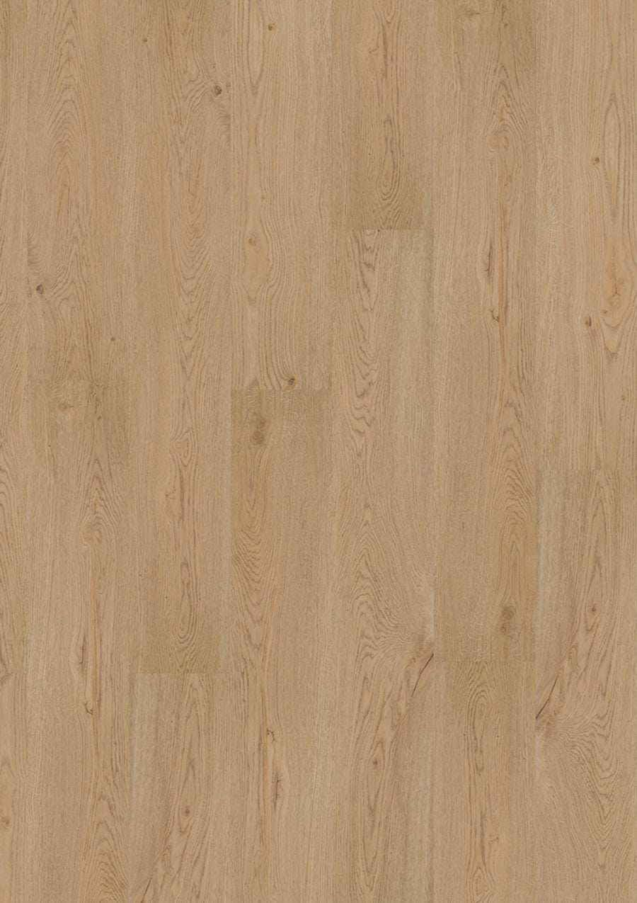 Design 340 2881 Earthy Oak EIR