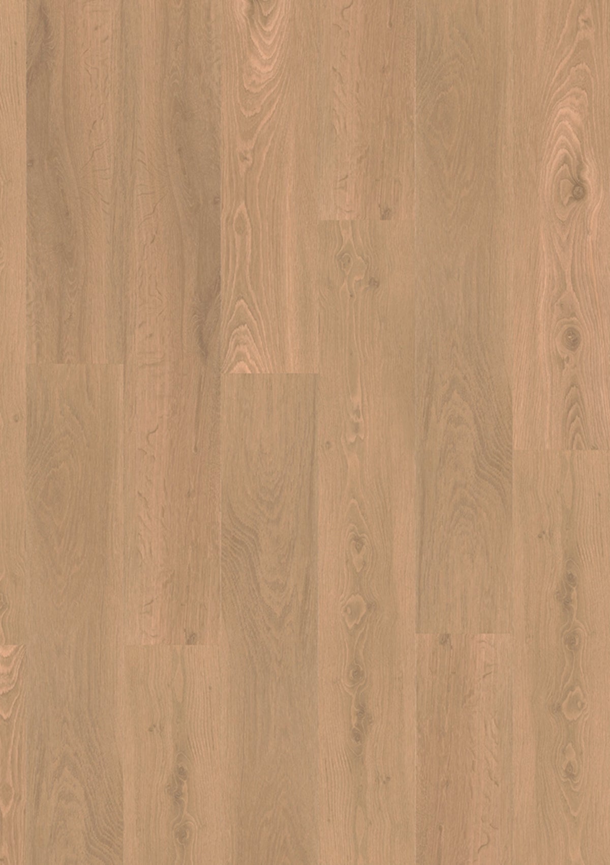 Design 340 2876 Tawny Oak