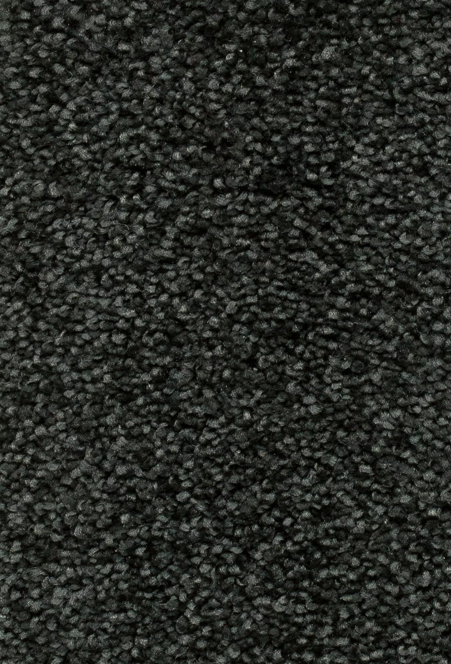 Damos Farbe 79