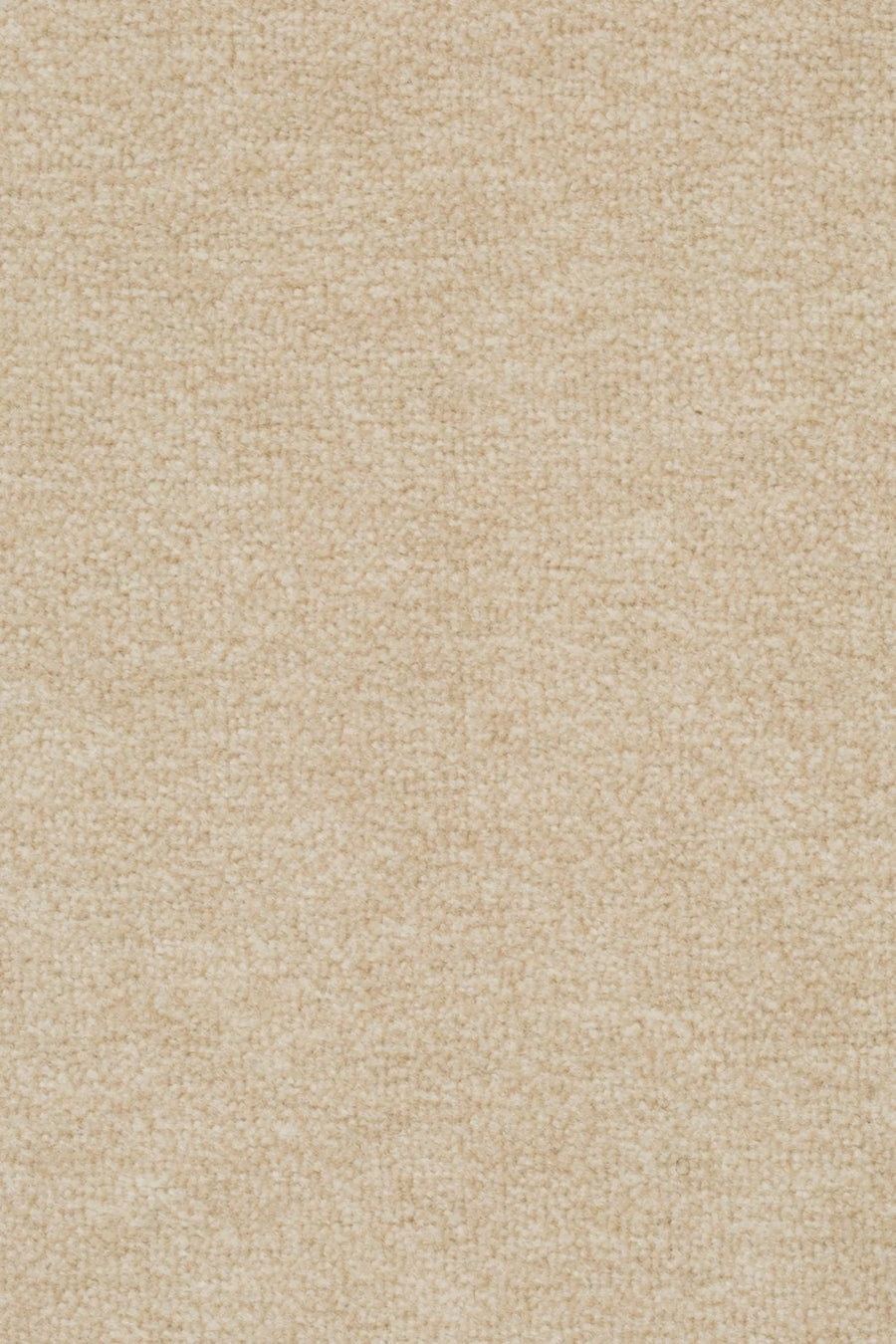 Astro Farbe 241