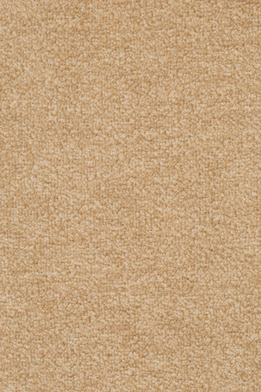 Astro Farbe 231