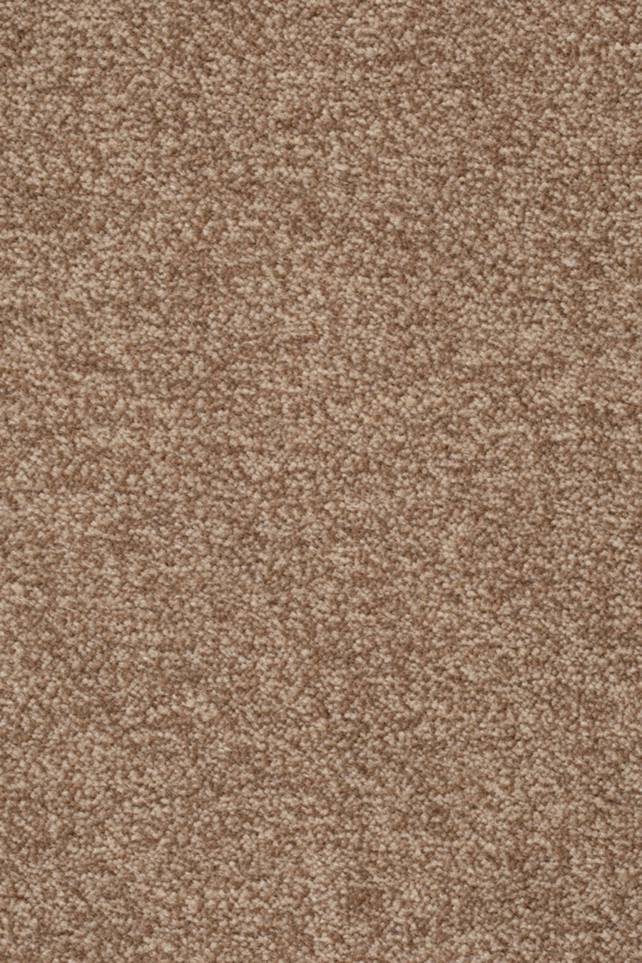 Astro Farbe 221