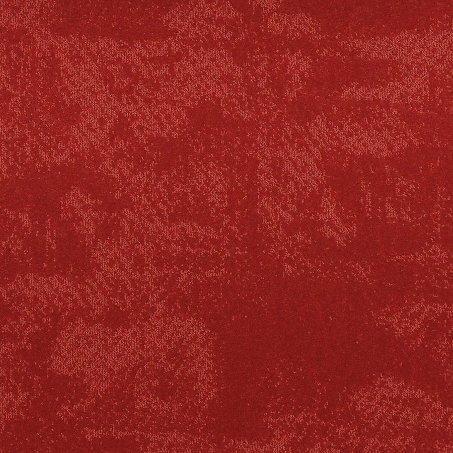 Grande Fliese 50 x 50 cm Farbe 555