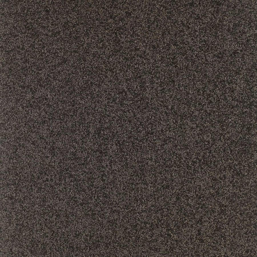 Gloria Farbe 980