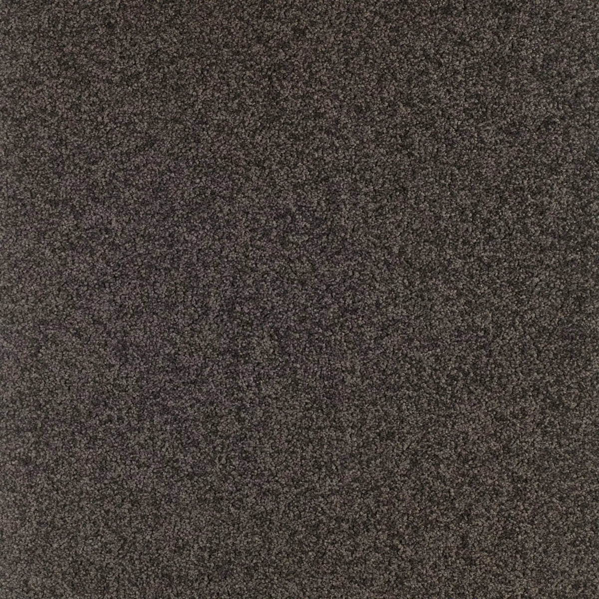 Gloria Fliese 50 x 50 cm Farbe 980