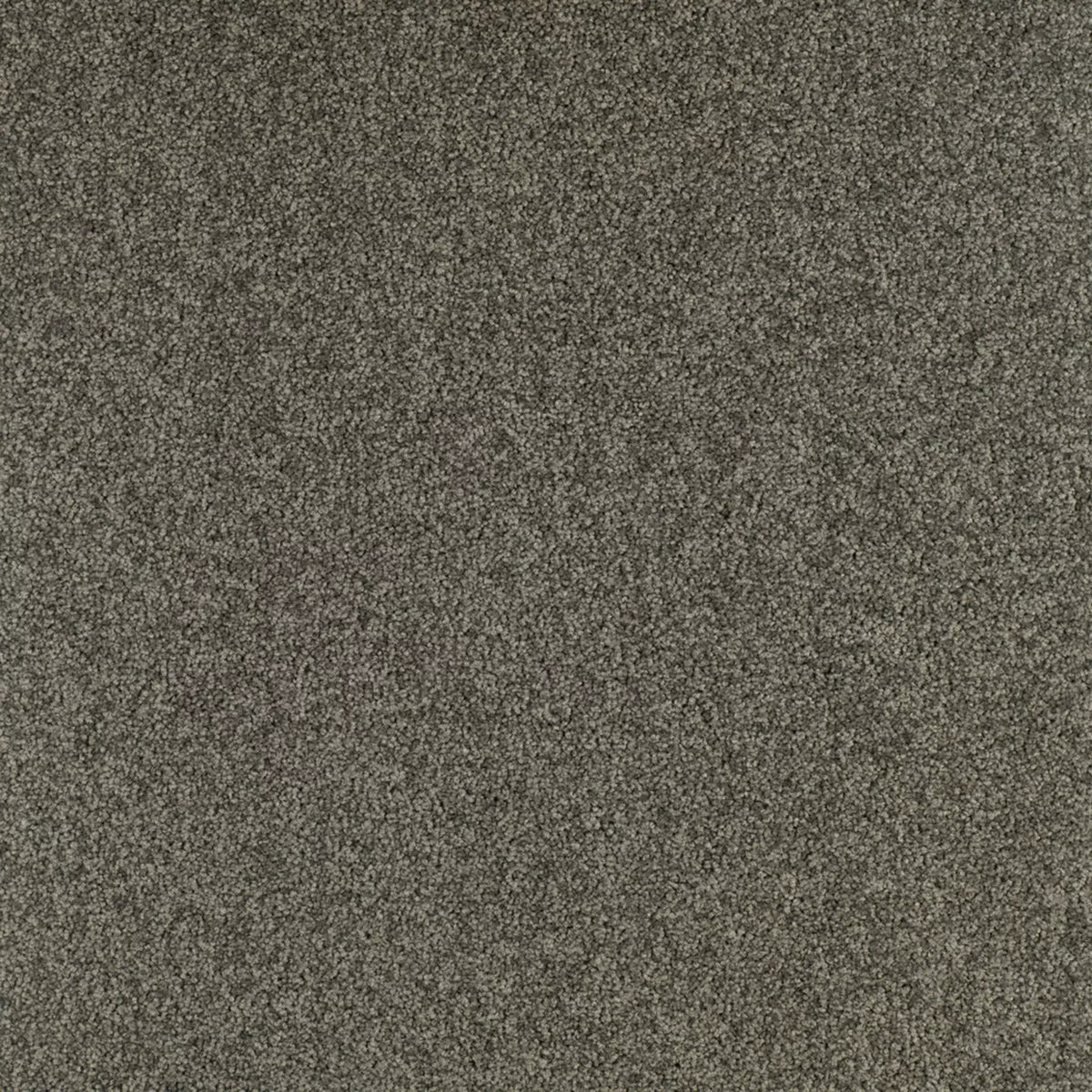 Gloria Fliese 50 x 50 cm Farbe 960