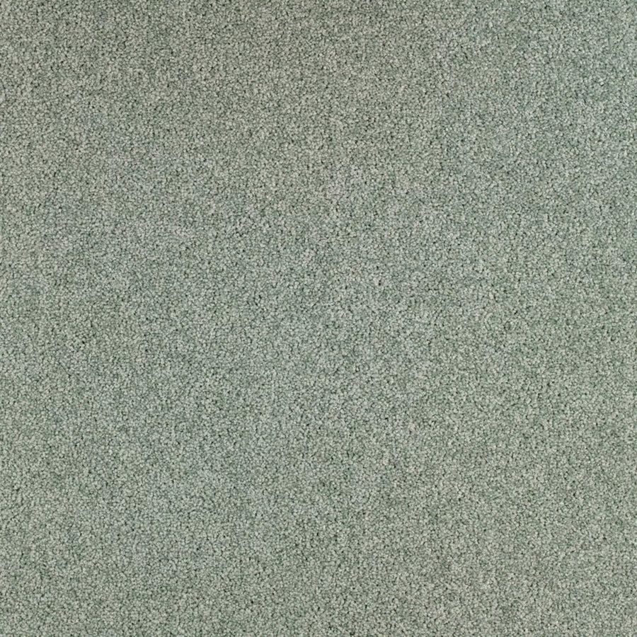 Gloria Farbe 920