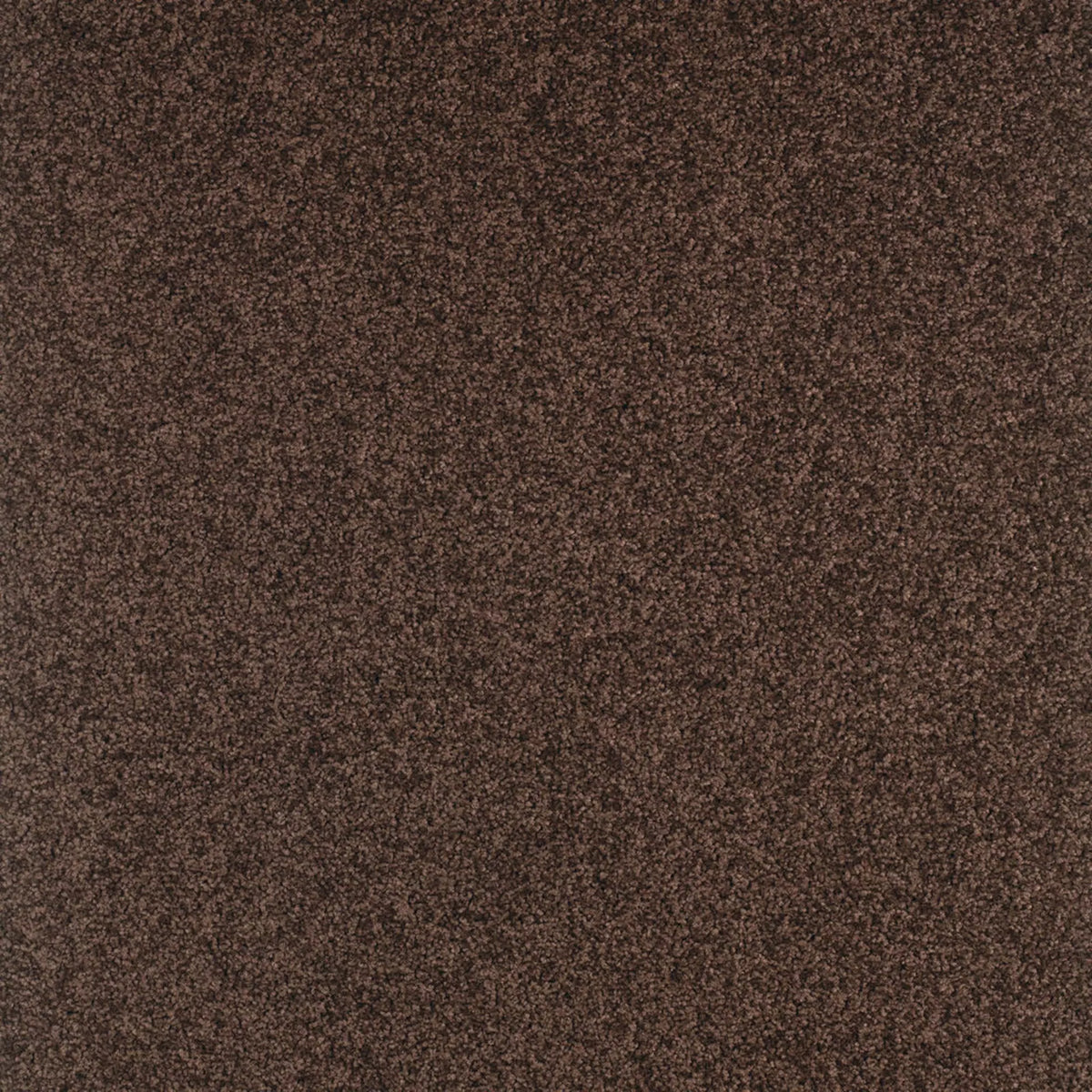 Gloria Fliese 50 x 50 cm Farbe 790