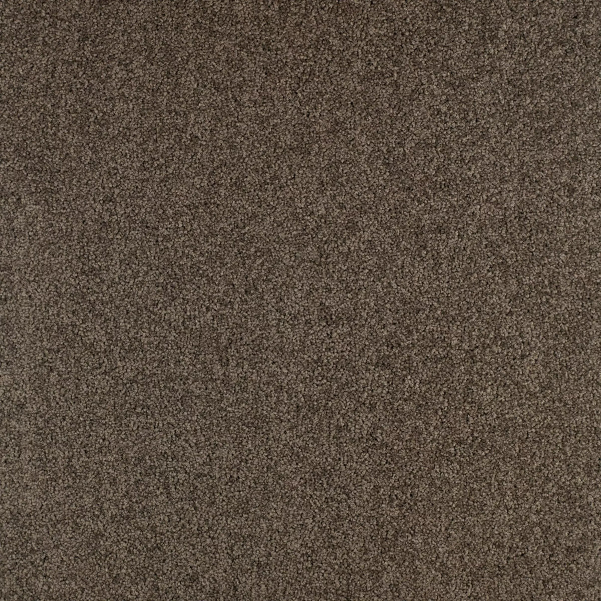 Gloria Fliese 50 x 50 cm Farbe 770