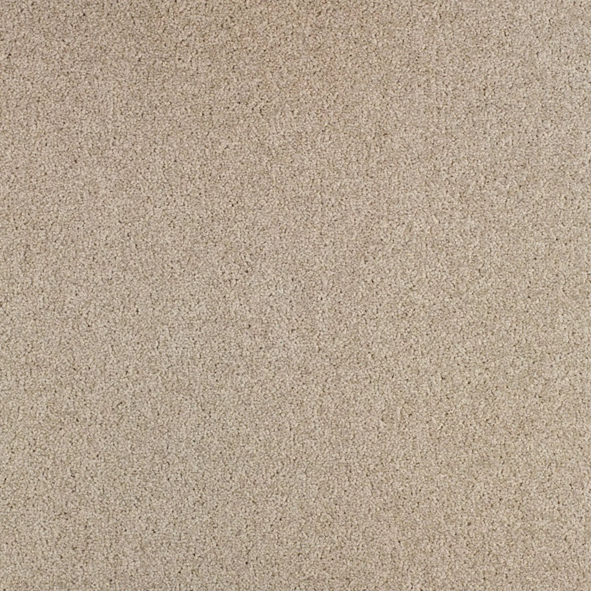 Gloria Fliese 50 x 50 cm Farbe 720
