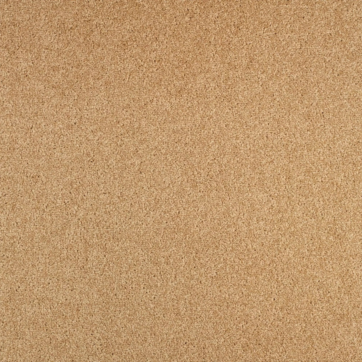 Gloria Fliese 50 x 50 cm Farbe 640