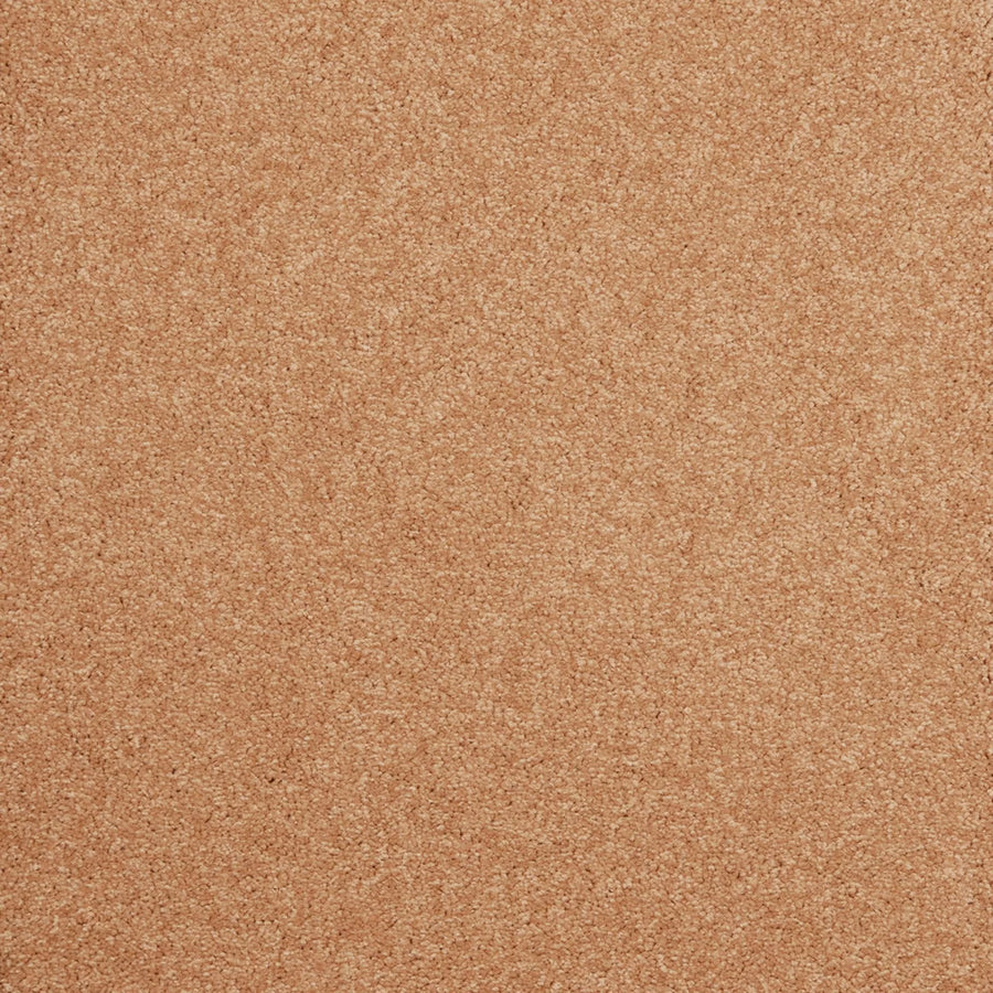 Amazing Farbe 440