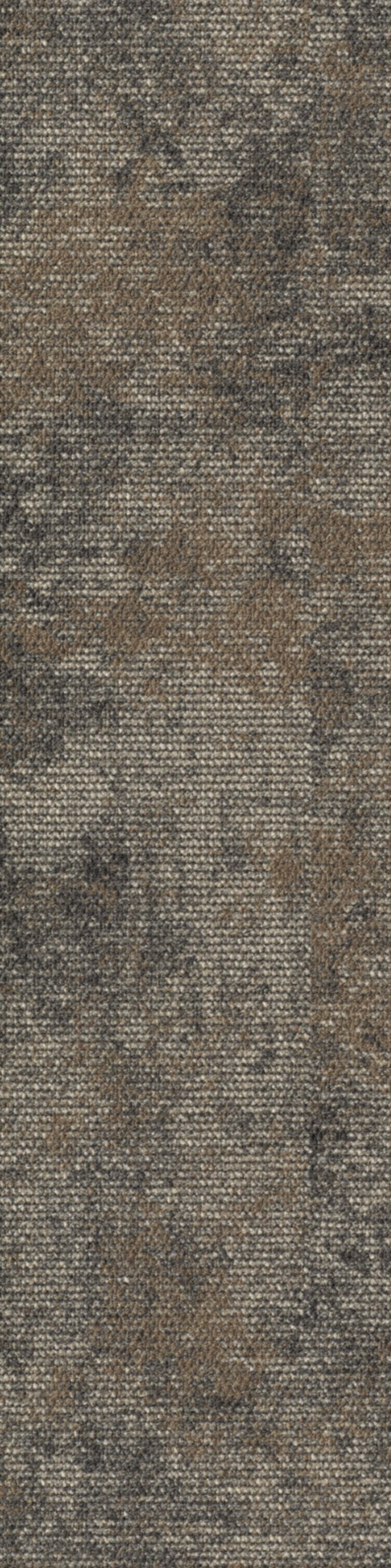 Terzia Planke 25 x 100 cm Farbe 780